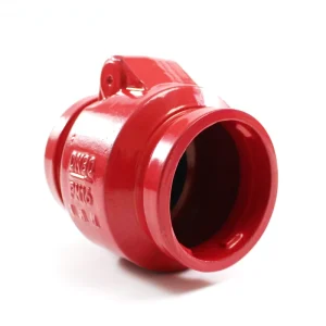 Non Return Valve 2.5″ to 4″ Di Body 165psi Manual Grooved Check Valve OEM One Door Check Valve