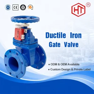Non Rising Stem Gate Valve PN16 DN40-DN200 Ductile Iron Resilient Wedge Manual Flanged Signal Gate Valve for Water