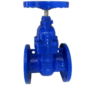 Non rising Stem Elastic Sealed Gate Valve Flange Connection Durable Leak Proof Design for Municipal Water Sewage Pipelines
