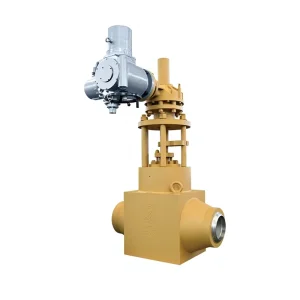 Normal Temperature High Pressure Self Sealing Forged Check Globe Valve for Water Manual