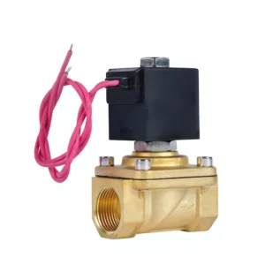 Normally Close Electric Brass 12v 24v 220V 1 2 3 Inch Solenoid Valve for Water Control Two Way Magnetic Valve