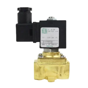 ODE Solenoid Valve Brass 21H7KV120 Pilot Control G 3/8inch 8W 12W 14W AC220 AC110 DC24V AC24V DN10 Air Compressor Coffee Machine