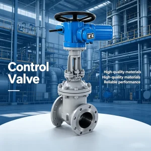 ODM Customizable China Factory Supply DN50 to DN600 General Water Medium Flanged Electric Gate Valves