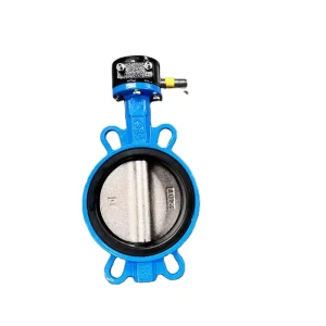 ODM OEM OBM DN50 DN600 Lockable Flanged Butterfly Valve Customizable Sizes Manufacturer’s Product