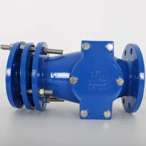 ODM OEM OBM DN50 DN600 Telescopic Filter Water Meter Valves with Flange Ends for Industrial Water