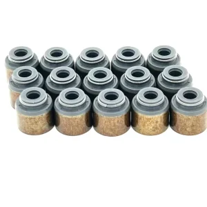 OEM 2224 21010 22224 2G000 4tne94 Rubber Valve Stem Oil Seal for Jeep