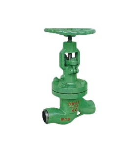 OEM China Factory Custom Water seled Globe Valves