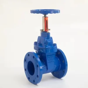 OEM China Factory DN40 DN100 DN300 Non Rising Stem Soft Seated Gate Valve with Indicator