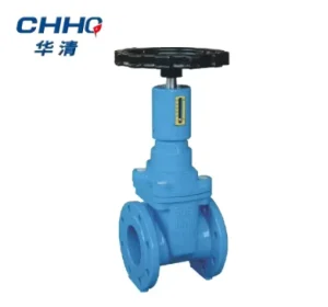 OEM Custom Flange Thread Gate Valve Different Sizes Gate Valve for Water Treatment Project Matching