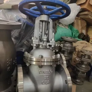 OEM Custom Gate Valve 316L 14 Inch Class 150 Flanged OS&Y Non Standard Size Available
