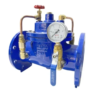 OEM Customizable Different Sizes High Temperature Hydraulic Control Check Valve for Water