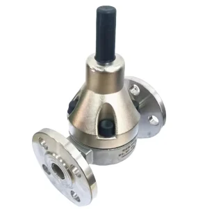 OEM Customizable Stainless Steel Flange Safety Valve Back Pressure Valve for Water Metering Pump