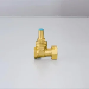 OEM Customized Brass Gate Valve From China Factory Manual Power with Lock for Water Meter Front Active Connection