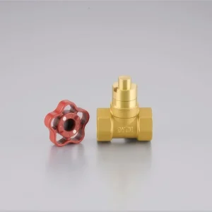 OEM Customized Brass Gate Valve with Magnetic Locking and Cut Off Features for Water Supply