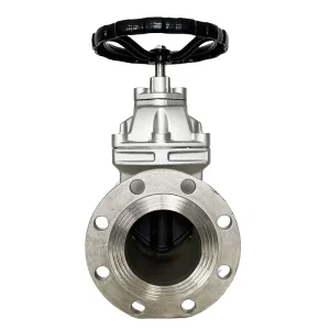 OEM Customized National Standard Z45X-16P Stainless Steel Soft Seal Gate Valve
