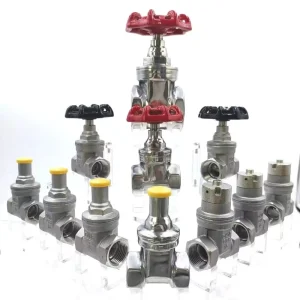 OEM Customized Support Direct Factory Sale Brass Soft Tight Manual Power General Application Normal Temperature Gate Valve