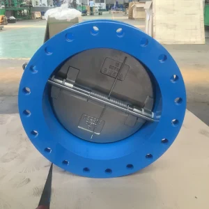OEM DN250 Check Valve Cast Iron PN16 Rubber Seat Dual Disc Check Valve Flange for Water