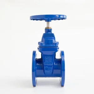 OEM Ductile Iron Flanged Gate Valves Manual Power Soft Seal Design Epoxy Coated Water Works Valve