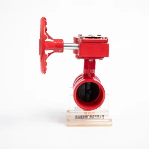 OEM Factory DN65 Cast Iron Worm Gear Grooved Butterfly Valve for Air Water Electric Power