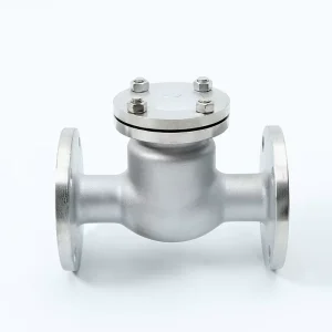 OEM Factory Flanged PN16 CF8 CF8M Stainless Steel Swing Check Valve 2 3 Inch DN50 DN80 DN100 Industrial Water Non Return Valve