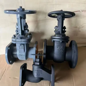 OEM Grooved Soft Seal Gate Valve OS&Y NRS Type Elastic Wedge Gate Valve DN50 DN300 Fire Protection Groove Gate Valve