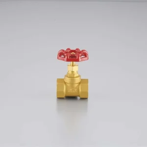 OEM Manual Brass Globe Gate Valve with Soft Seal for Water Supply