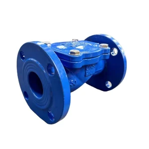 OEM Manufacturer High Pressure Rubber Flap Wedge Wafer Check Valve