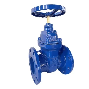 OEM/ODM DN50-DN300 Ductile Iron Flanged Soft Seal Gate Valve for Water