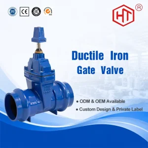 OEM ODM High Durability Efficiency PN16 Socket Gate Valve for Drainage Underground Use