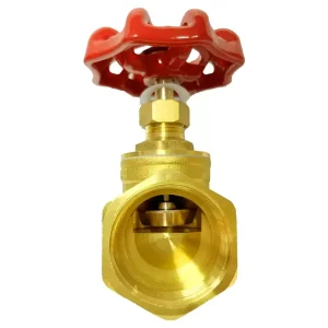 OEM ODM Manual Shutoff Brass Globe Valve with BSP Thread General Application From China Manufacturer