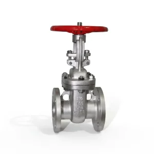 OEM ODM OBM A216 WCB Manual Gate Valve ANSI 150LB 2500LB 1 2″ 12″ Metal Seal ISO9001 Certified for Water Oil Gas Pipeline