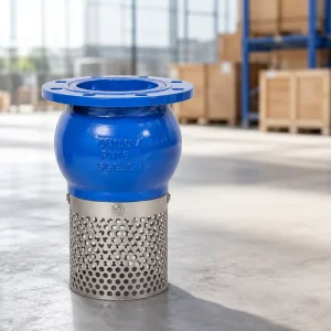 OEM ODM PN16 DN50 DN300 Blue Cast Iron Flanged Foot Valve with Manual Power Cast Iron Body Check Lift Foot Valve