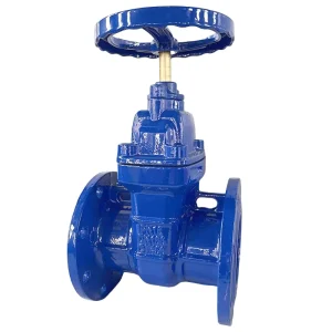 OEM/ODM Supplier DN50-DN300 ASTM BS DIN ISO JIS Standard Flange Type Water Gate Valve