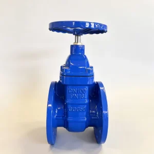 OEM PN10 PN16 Z45T BS5163 Manual Non Rising Soft Sealed Cast Iron Flanged Gate Valve
