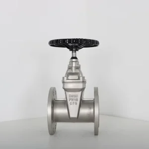OEM Service Industrial Manual Metal Stainless Steel Gate Valve