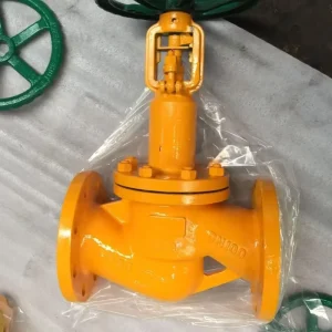 OEM Stainless Steel Globe Valve Manufacturer Supplier Factory Direct