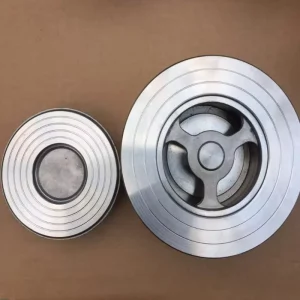 OEM Wafer Type Butterfly Check Valve Double Disc Non Return Valve DN40 DN1200 Industrial Pipeline Water EPDM Sealing
