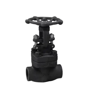 OS&Y CLASS 800 API 598 602 Forged Steel NPT SW A105 Butt Weld Gate Valve
