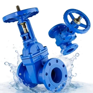OSY Rising Stem Gate Valve Ductile Iron BS5163 Grooved End EPDM Wedge Fire Fighting Protection System Irrigation