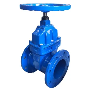 Oem Odm Custom Manual Resilient Seated Wedge Gate Valve Dn80 100 150 200 Z45x 16q Cast Iron Flow Control Gate Valve