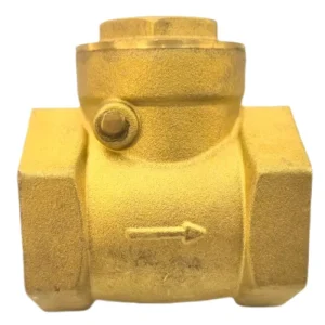 One Way Brass Stainless Steel 201 304 316 Vertical Threaded Non Return Check Valve Hydraulic for Water Control General