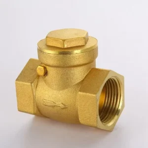 One Way Non Return Water Brass Manual High Temperature Check Valve Flange Ends 1 2” 4” for Steam & Oil