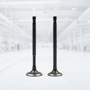 Original Engine Valve for VW GOLF OEM Toyota Honda BMW Suzuki Nissan Hyundai Ford Peugeot Audi Mitsubishi Chevrolet Kia