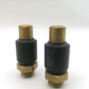Original Imported Safety Valve 4346082200 1517992 3173104 8151922 1622431 Truck Bus