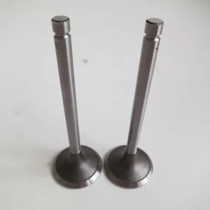 Original Truck Spare Parts Intake Valve Kit 1007011 Inlet Valve Set