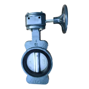 Orm Gear Operated Semi Lug Blind Hole Butterfly Valve Industrial Manual Wafer Style Control Valve for Water Treatment Chemical