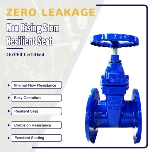 PN10 PN16 DN150 Manual Flange Gate Valve with Non-Rising Stem Customized Support Available