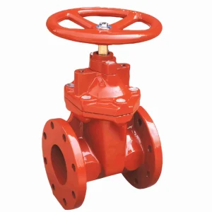 PN10 PN16 Resilient Seated NRS Gate Valve 4 Inch 6 Inch for Water Oil Gas