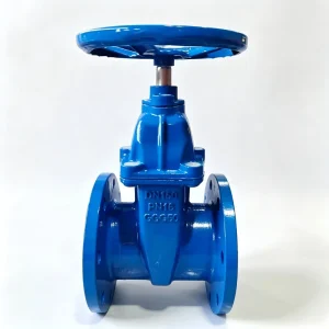 PN16 DIN Resilient Seated Gate Valve GG50 Cast Iron Flanged Gate Valve for Industrial Water Pipeline