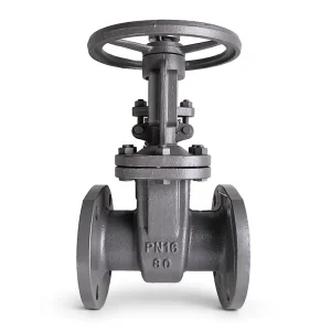 PN16 DN50 Z41H-16C Carbon Steel Hand Wheel Wedge Gate Valve High Temperature Manual Power for Water/Vapour/Oil